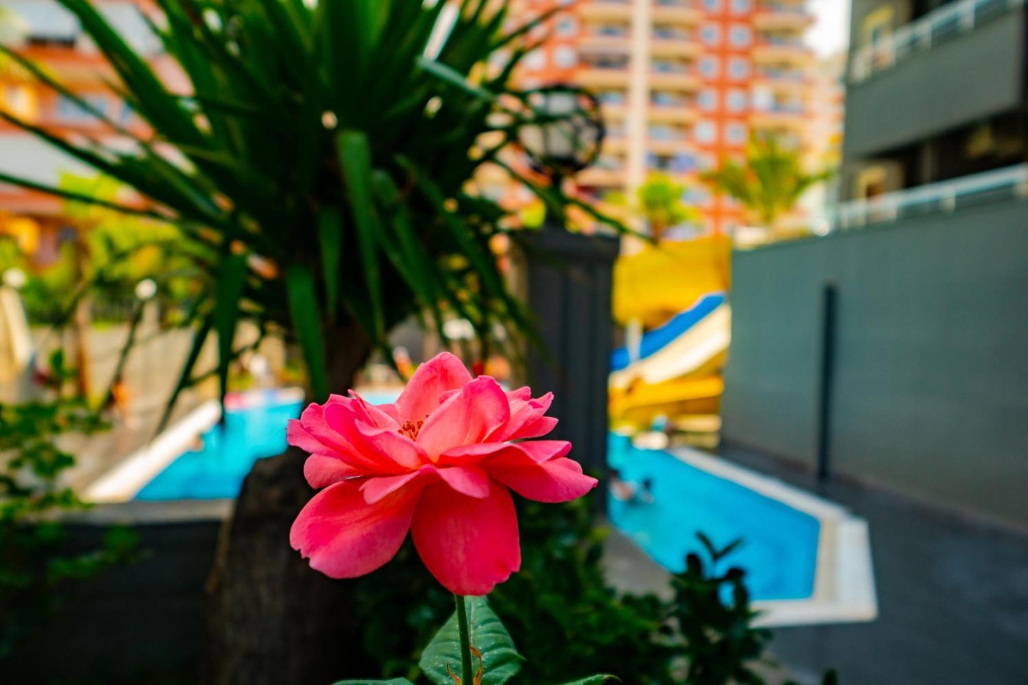 Senza Grand Santana Hotel Махмутлар Экстерьер фото